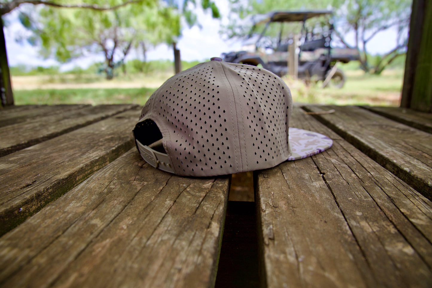 Black Hog - Brand cap